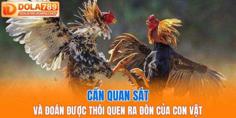 Cần quan sát và đoán được thói quen ra đòn của con vật