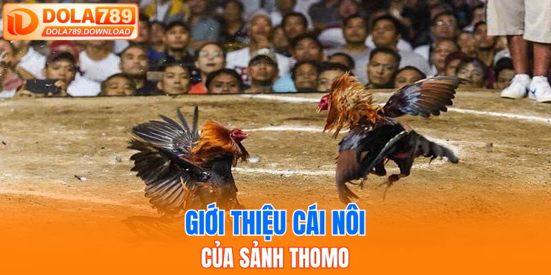 Giới thiệu cái nôi của sảnh Thomo