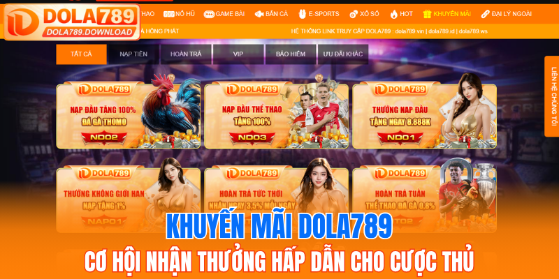 Các chương trình khuyến mãi thường gặp và hấp dẫn