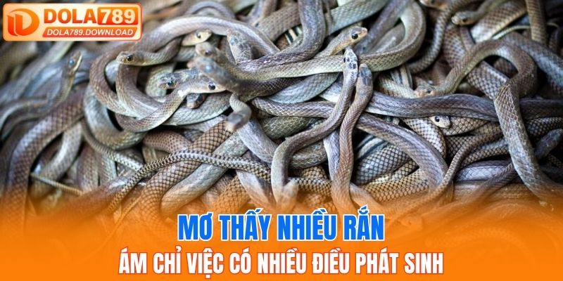 Mơ thấy nhiều rắn ám chỉ việc có nhiều điều phát sinh
