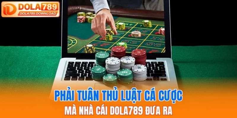 Phải tuân thủ luật cá cược mà nhà cái Dola789 đưa ra