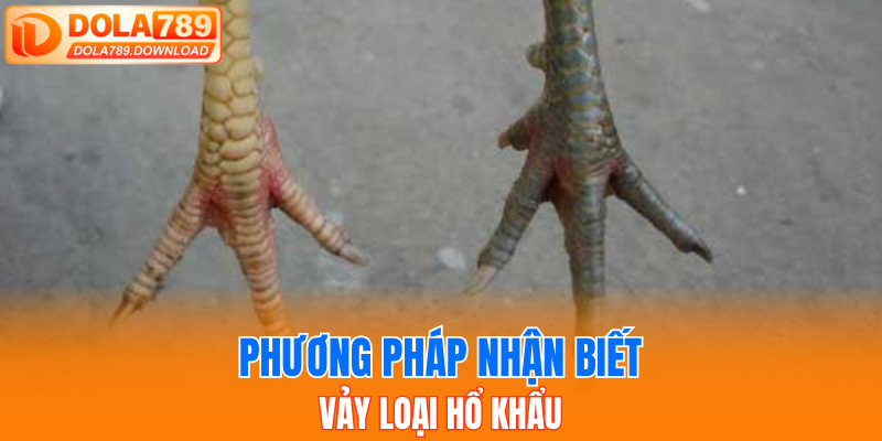 Phương pháp nhận biết vảy loại Hổ Khẩu